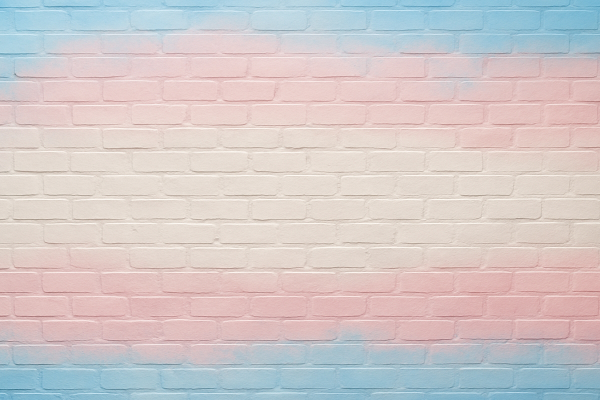 A brick wall painted in the colors of the transgender pride flag, with horizontal stripes of light blue, pink, white, pink, and light blue. The soft gradient spray-paint effect creates a sense of movement and unity, symbolizing trans identity, resilience, and community strength.